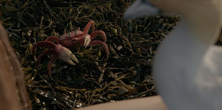 Vuelven las críticas tras el nuevo trailer de 'La Sirenita'